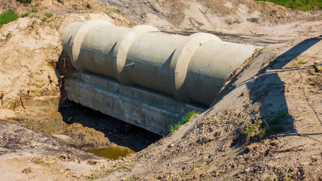 Sewage Backup Cleanup Near Me